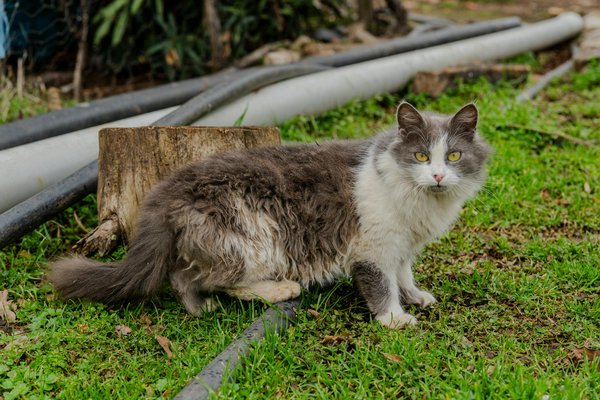 How can seniors build a support network to enhance their quality of life?